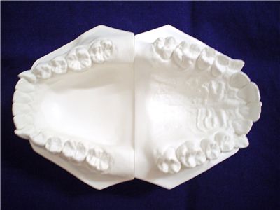 Picture Of Molde Of The Dentist